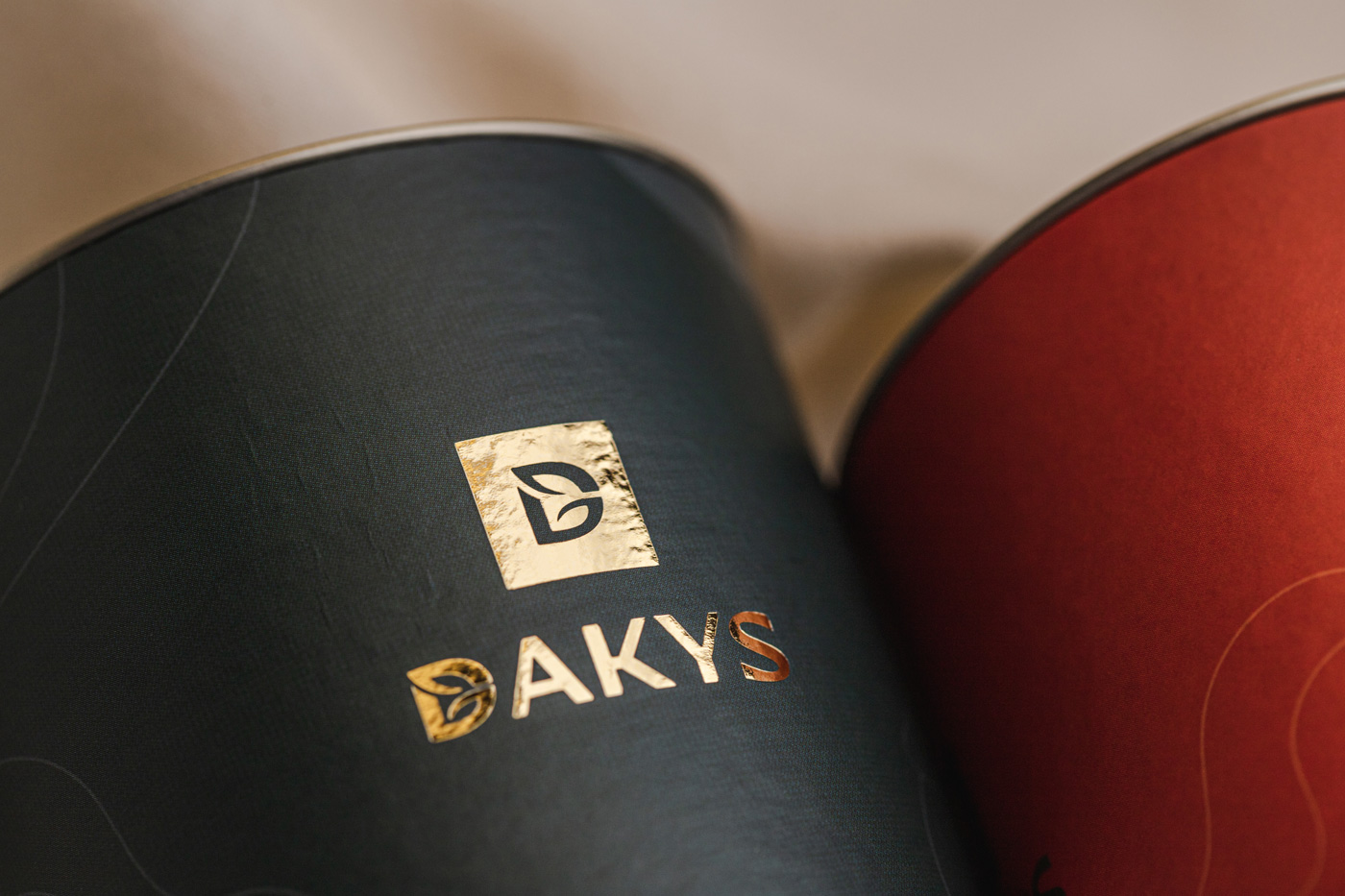 dakys_logo